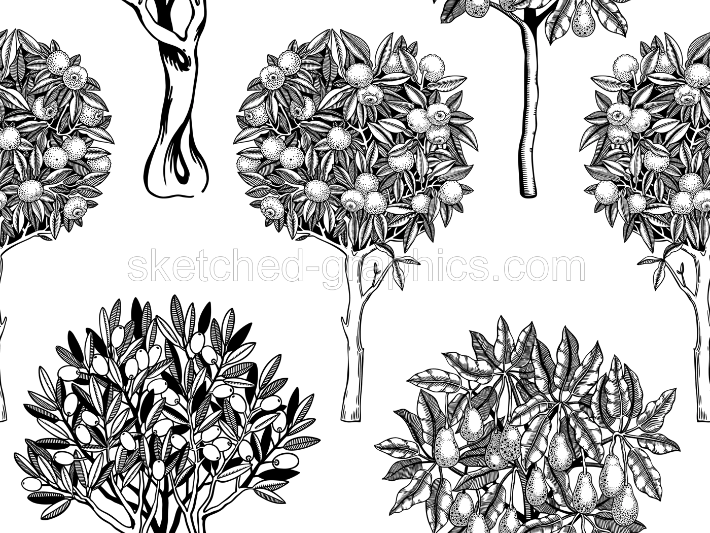 Sketched trees seamless pattern. Decorative plants with fruit, leaves and branches in engraving style. Hand-drawn yuzu, avocado and olive background. Botanical design for prints Illustration